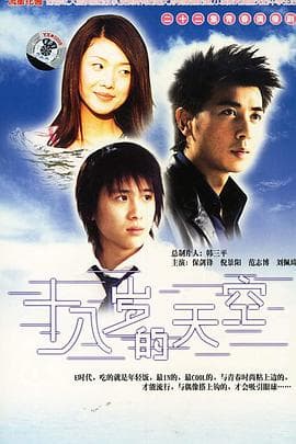 十八岁的天空 - 国产剧 (2002) 海报