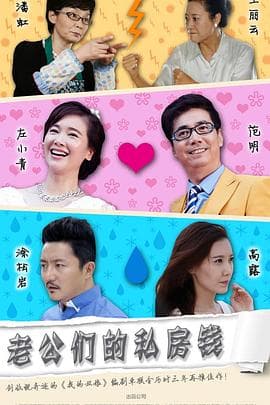 老公们的私房钱 - 国产剧 (2016) 海报