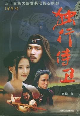 热血忠魂之独行侍卫 - 国产剧 (2003) 海报