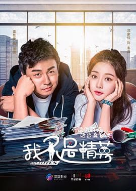 我不是精英 - 国产剧 (2017) 海报