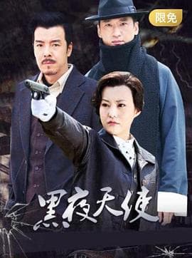 黑夜天使 - 国产剧 (2012) 海报