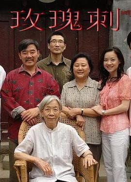 玫瑰刺 - 国产剧 (2009) 海报