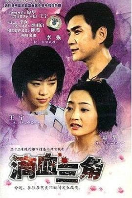 无情的爱 - 国产剧 (2000) 海报