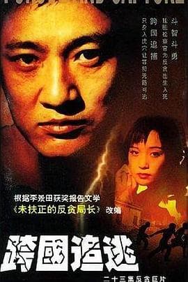 跨国追逃 - 国产剧 (2002) 海报