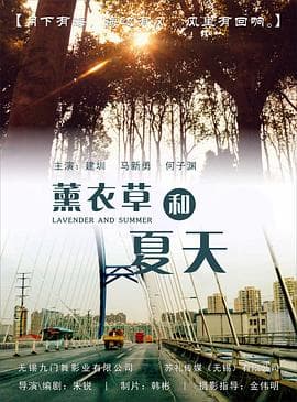 薰衣草和夏天 - 国产剧 (2022) 海报