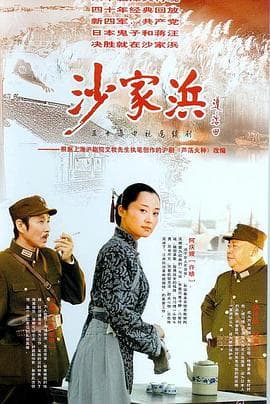 沙家浜2006 - 国产剧 (2006) 海报