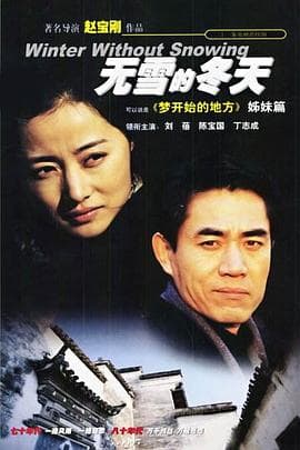 无雪的冬天 - 国产剧 (1998) 海报