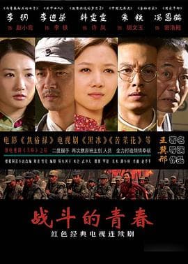 战斗的青春 - 国产剧 (2009) 海报