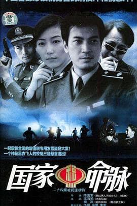 国家命脉 - 国产剧 (2004) 海报