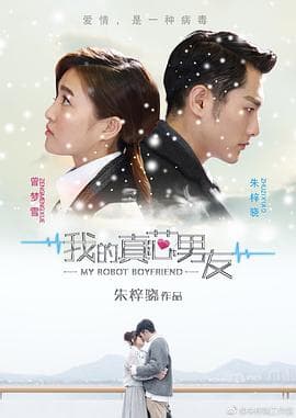 我的真芯男友 - 国产剧 (2017) 海报