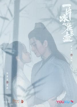 一片冰心在玉壶 - 国产剧 (2021) 海报