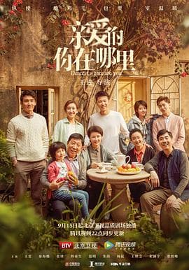 亲爱的，你在哪里 - 国产剧 (2020) 海报