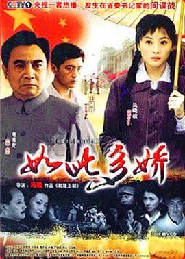 如此多娇 - 国产剧 (2004) 海报