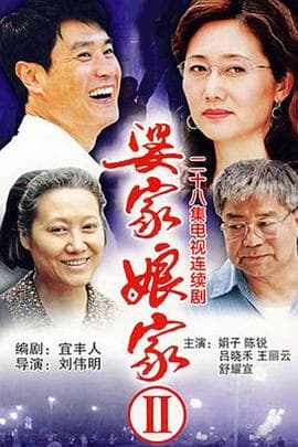 婆家娘家2 - 国产剧 (2007) 海报