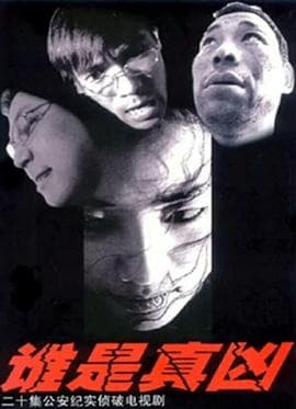 谁是真凶 - 国产剧 (2005) 海报