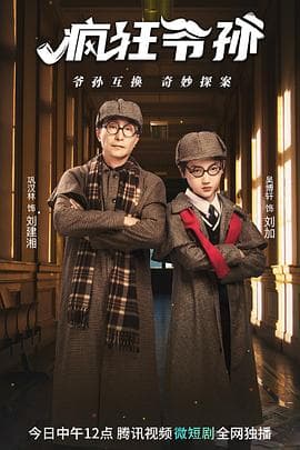 疯狂爷孙 - 国产剧 (2023) 海报