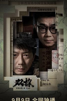 双探 - 国产剧 (2021) 海报