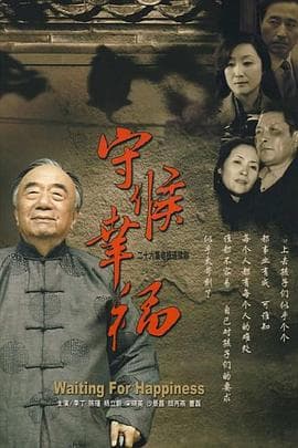 守候幸福 - 国产剧 (2007) 海报