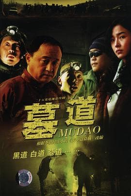 墓道 - 国产剧 (2007) 海报