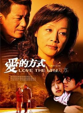 爱的方式 - 国产剧 (2009) 海报