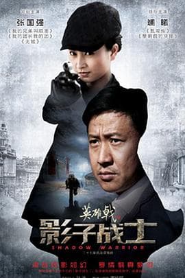 英雄戟之影子战士 - 国产剧 (2014) 海报