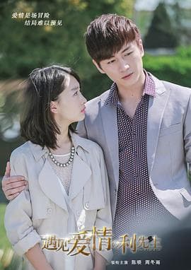 遇见爱情的利先生 - 国产剧 (2017) 海报
