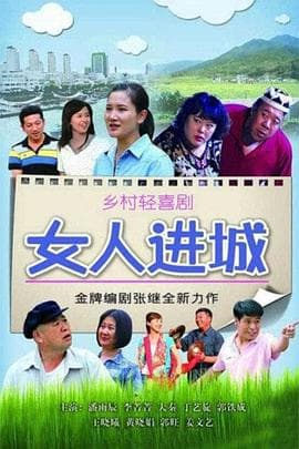 女人进城 - 国产剧 (2013) 海报