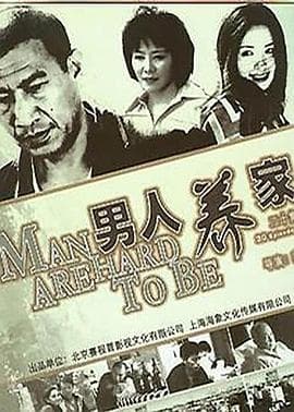 男人养家 - 国产剧 (2006) 海报