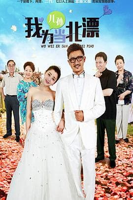 我为儿孙当北漂 - 国产剧 (2015) 海报