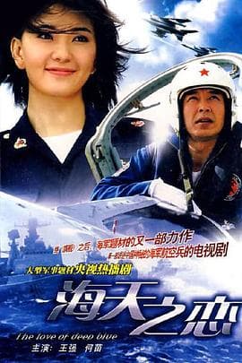海天之恋 - 国产剧 (2008) 海报