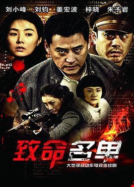 致命名单 - 国产剧 (2012) 海报