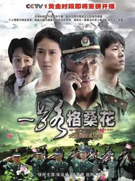 一路格桑花 - 国产剧 (2010) 海报