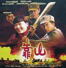 靠山 - 国产剧 (2007) 海报