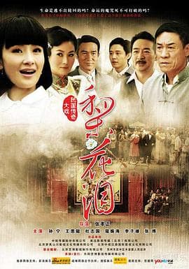 梨花泪 - 国产剧 (2011) 海报