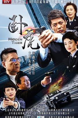 卧虎2016 - 国产剧 (2016) 海报