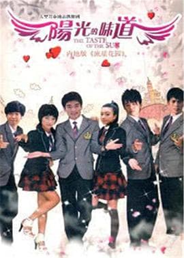 阳光的味道 - 国产剧 (2010) 海报