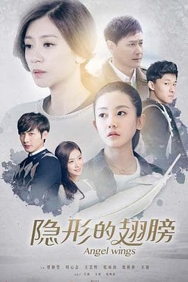 隐形的翅膀 - 国产剧 (2016) 海报