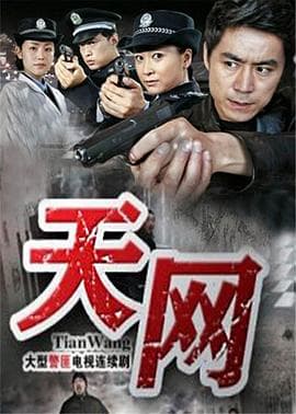 天网2011 - 国产剧 (2011) 海报