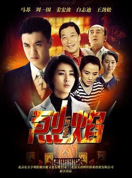 烈焰 - 国产剧 (2013) 海报