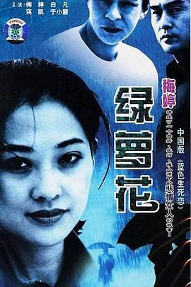 绿萝花 - 国产剧 (2001) 海报