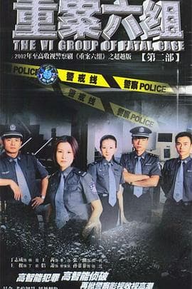 重案六组2 - 国产剧 (2003) 海报