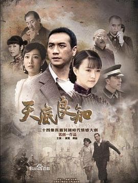 天底良知 - 国产剧 (2013) 海报