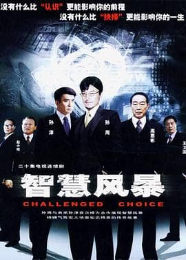 智慧风暴 - 国产剧 (2005) 海报