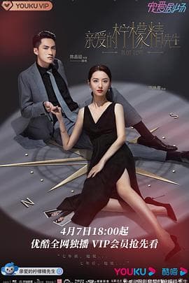 亲爱的柠檬精先生 - 国产剧 (2021) 海报