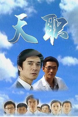 天职2009 - 国产剧 (2009) 海报