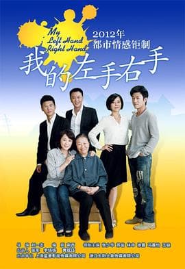 我的左手右手 - 国产剧 (2013) 海报