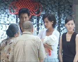 浴火凤凰 - 国产剧 (2006) 海报