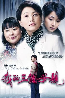 我的三个母亲 - 国产剧 (2010) 海报