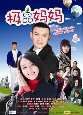 极品妈妈 - 国产剧 (2012) 海报