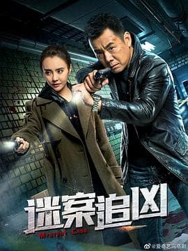 迷案追凶 - 国产剧 (2011) 海报